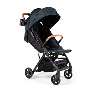 The Traveler