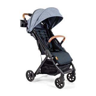 The Traveler