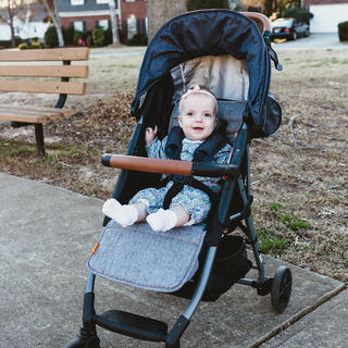 Plush Stroller Seat Liner