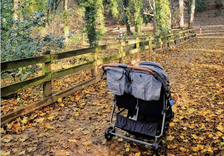 5 Family-Friendly Fall Destinations