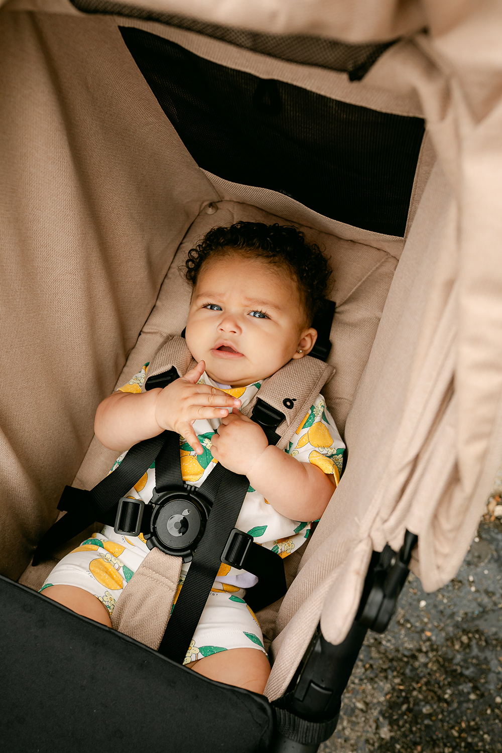 zoe double stroller infant insert The Twinᵛ³